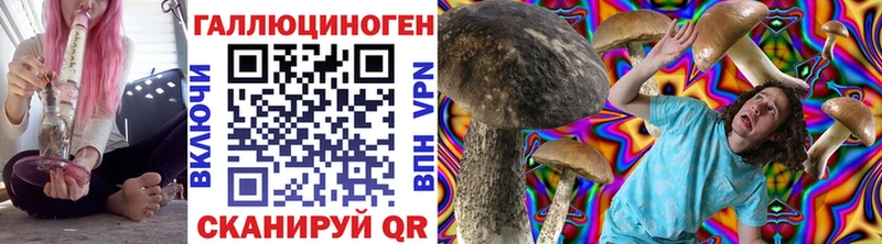 Псилоцибиновые грибы прущие грибы  Тотьма 